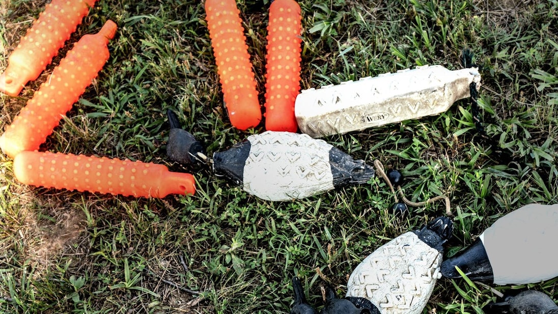 Training tools lying on the grass