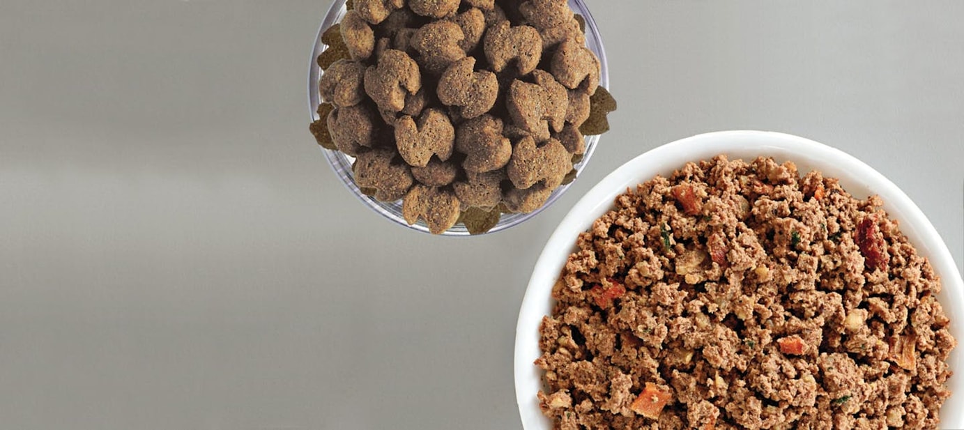 Two bowls, showing Eukanuba Wet and Eukanuba Dry dog food