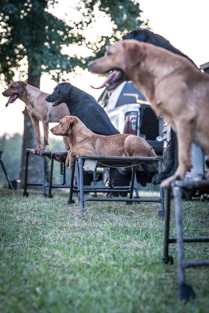Preseason Lab training on stands