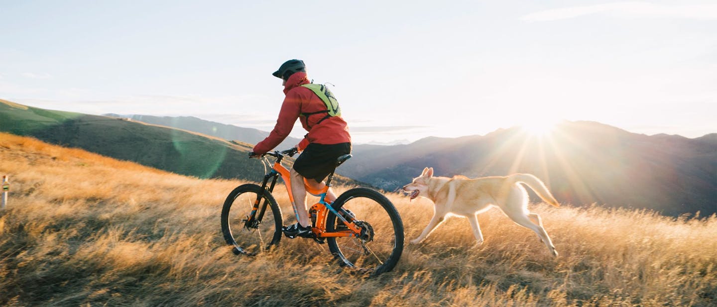 The Important Nutrients Every Active Dog Needs