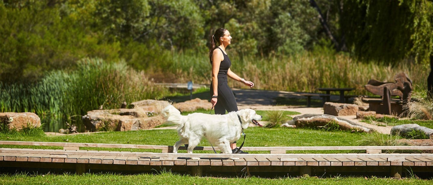 Walking Your Dog: The Benefits & Why It’s Important