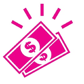 Money Icon
