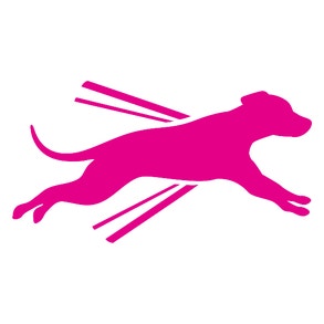 Dog running icon