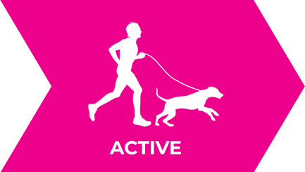 Eukanuba Food For Active Dogs and Puppies