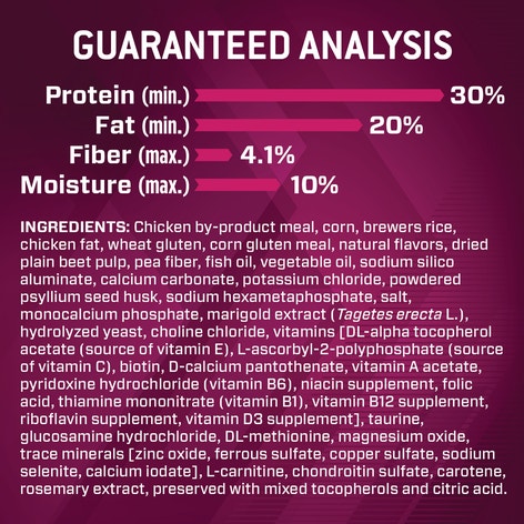 Premium Performance 30/20 Sport Dry Dog Food image 1