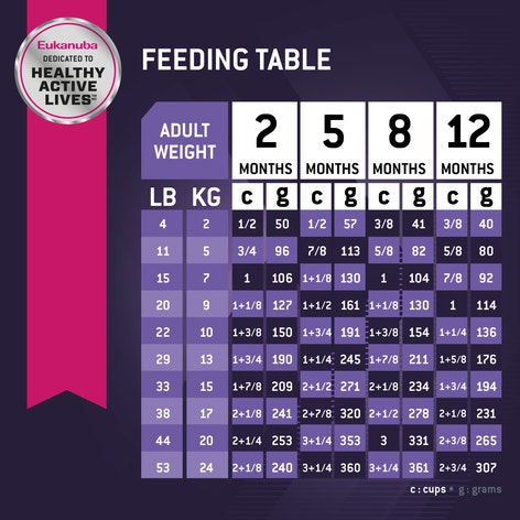 Puppy - Lamb 1st Ingredient Dry Dog Food image 1