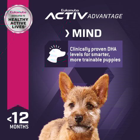 Puppy Small Breed Dry Dog Food image 1