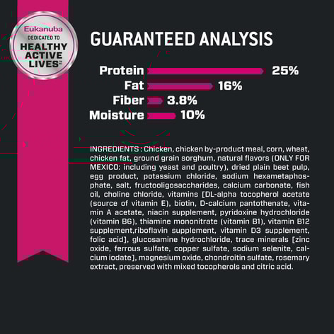 Adult Small Bites Dry Dog Food image 1