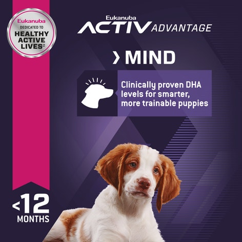 Puppy - Lamb 1st Ingredient Dry Dog Food image 1