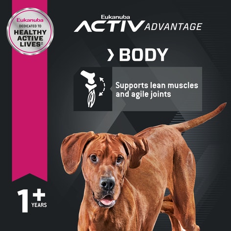 Adult Large Breed - Lamb 1st Ingredient Dry Dog Food image 1
