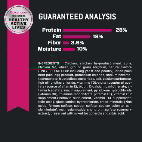Adult Small Breed Dog Food image 1