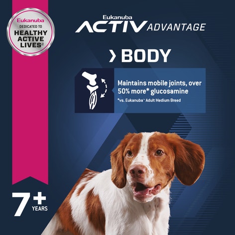Senior Medium Breed Dry Dog Food image 1