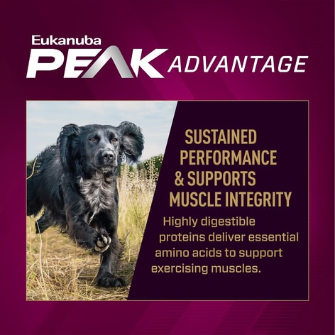 Euk Prem Perf 30/20 SPORT Small Bites image 1