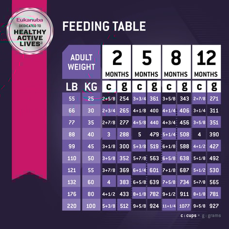 Puppy Large Breed Dry Dog Food image 1