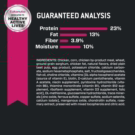 Adult Large Breed Dog Food Dry image 1