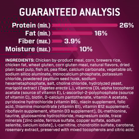 Premium Performance 26/16 Exercise Dry Dog Food image 1