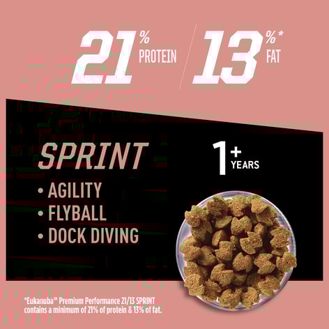 Premium Performance 21/13 Sprint Dry Dog Food image 1