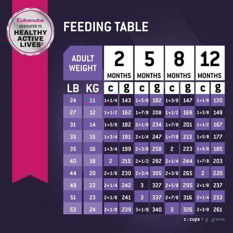 Puppy Medium Breed Dry Dog Food image 1