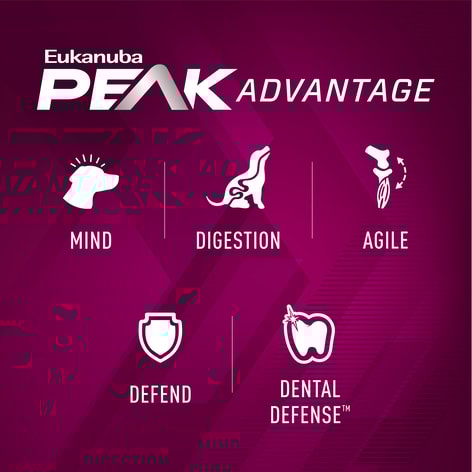 Euk Prem Perf 30/20 SPORT Small Bites image 1