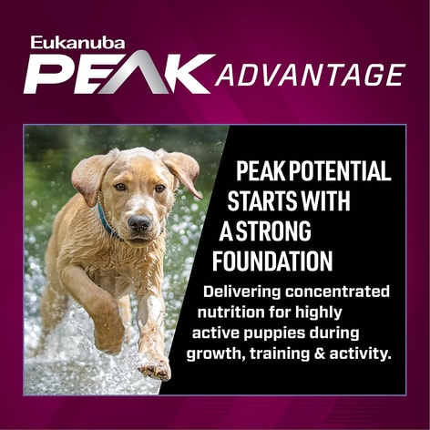 Premium Performance Puppy Pro Dry Dog Food image 1