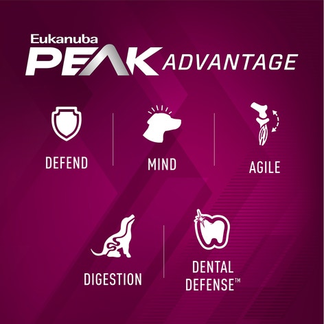 Euk Prem Perf 26/16 EXERCISE Small Bites image 1