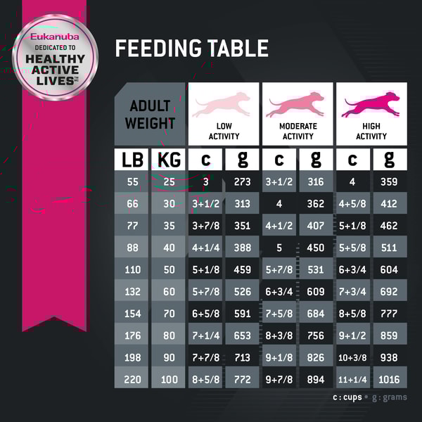 Adult Large Breed Dog Food Dry image 7