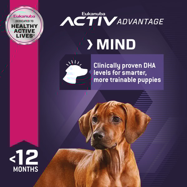 Puppy Large Breed Dry Dog Food image 4