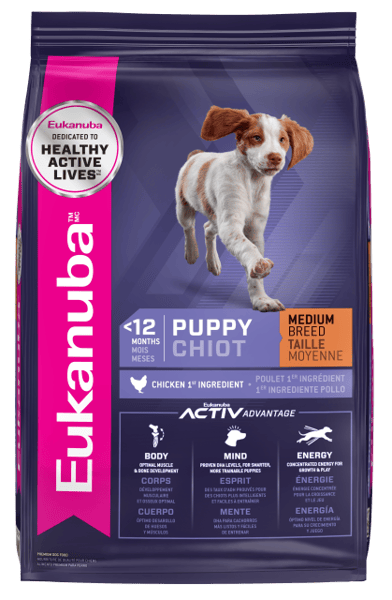 Eukanuba medium puppy food hot sale