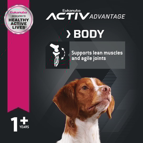 Eukanuba Adult Dry Dog Food for Medium Dogs image 4