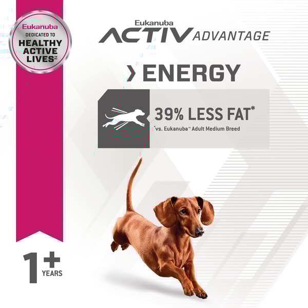 Fit Body Weight Control Small Breed Dry Dog Food