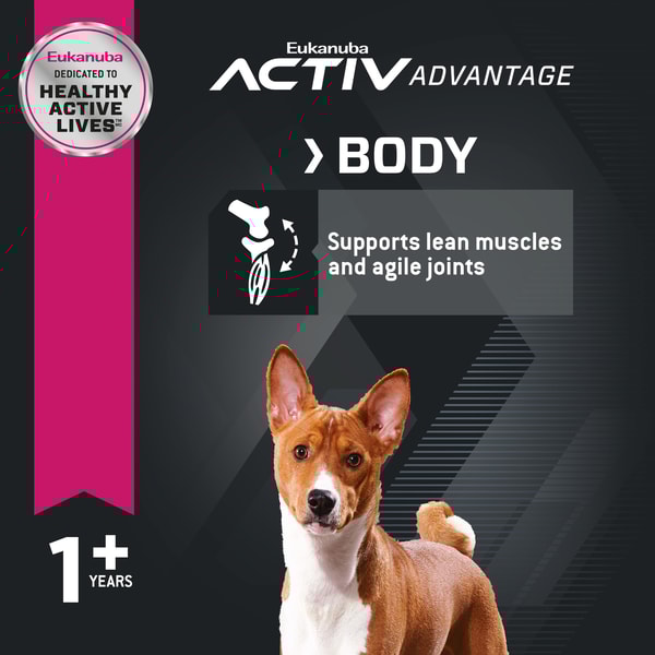 Adult Small Bites Dry Dog Food image 4