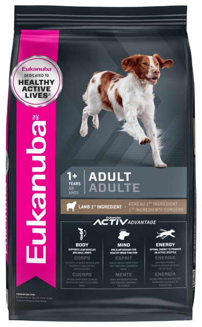 Adult - Lamb 1st Ingredient Dry Dog Food image 1