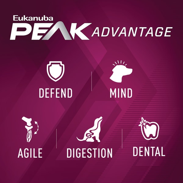 Premium Performance 26/16 Exercise Dry Dog Food image 4
