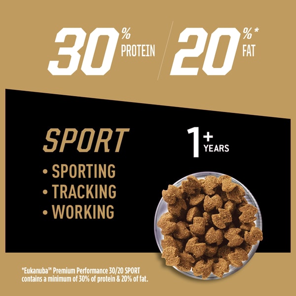 30 protein dog food clearance