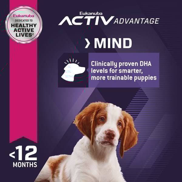 Puppy Medium Breed Dry Dog Food image 4