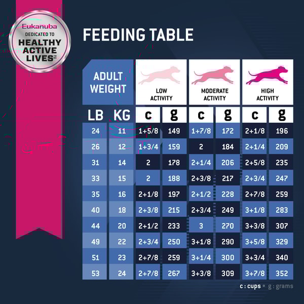 Senior dog feeding chart top