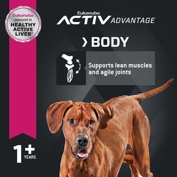 Adult Large Breed Dog Food Dry image 4