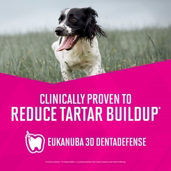 Is eukanuba going out of business shop