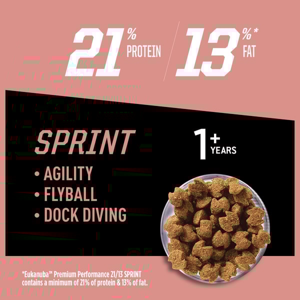 Premium Performance 21/13 Sprint Dry Dog Food image 5