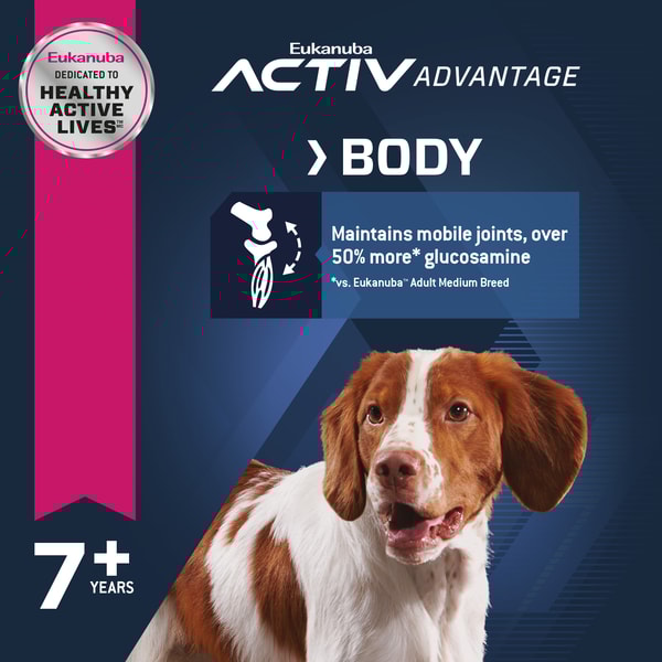 Senior dog food lamb hot sale