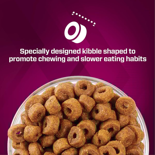 Premium Performance Puppy Pro Dry Dog Food image 5