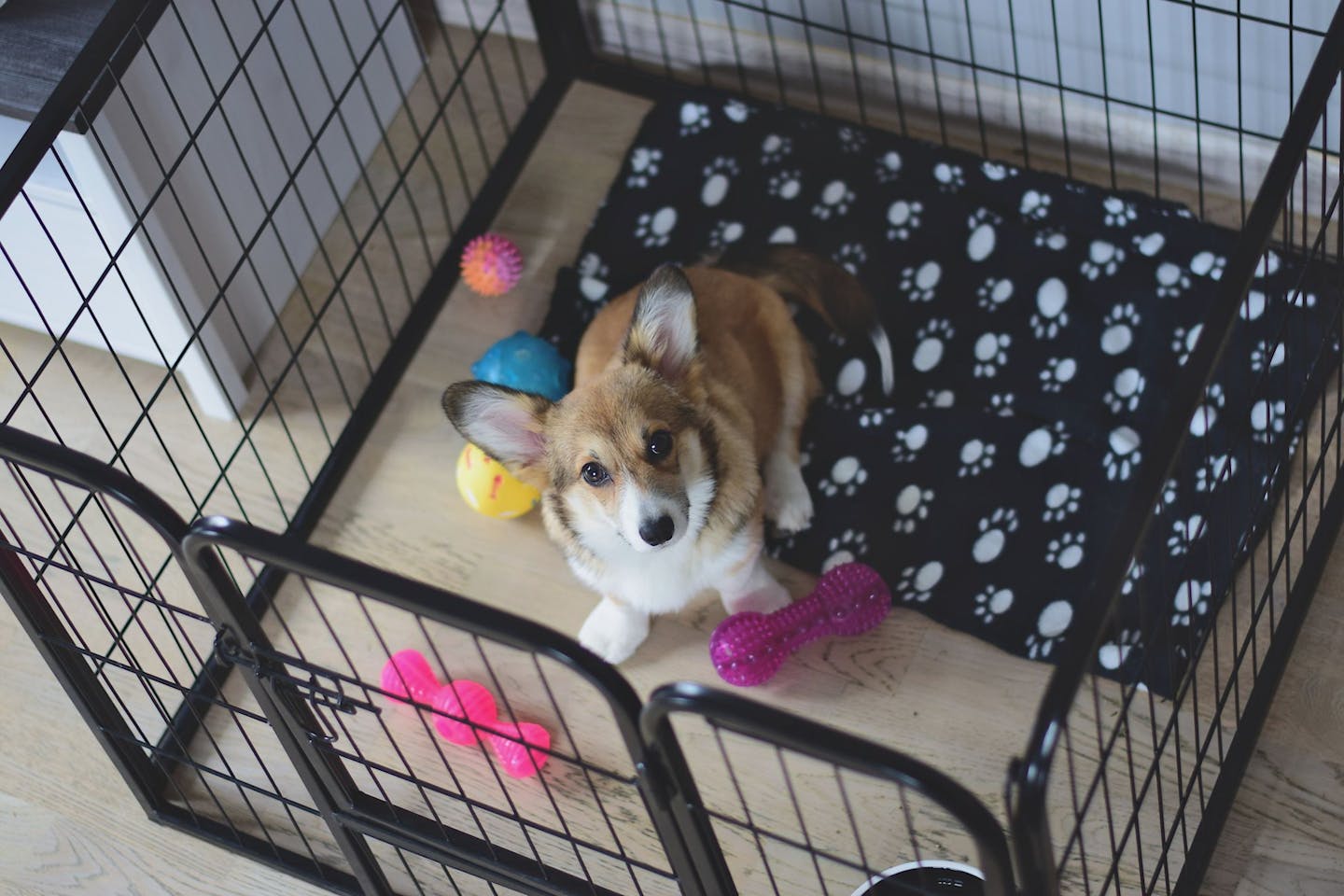 How long can puppies stay in a crate hot sale