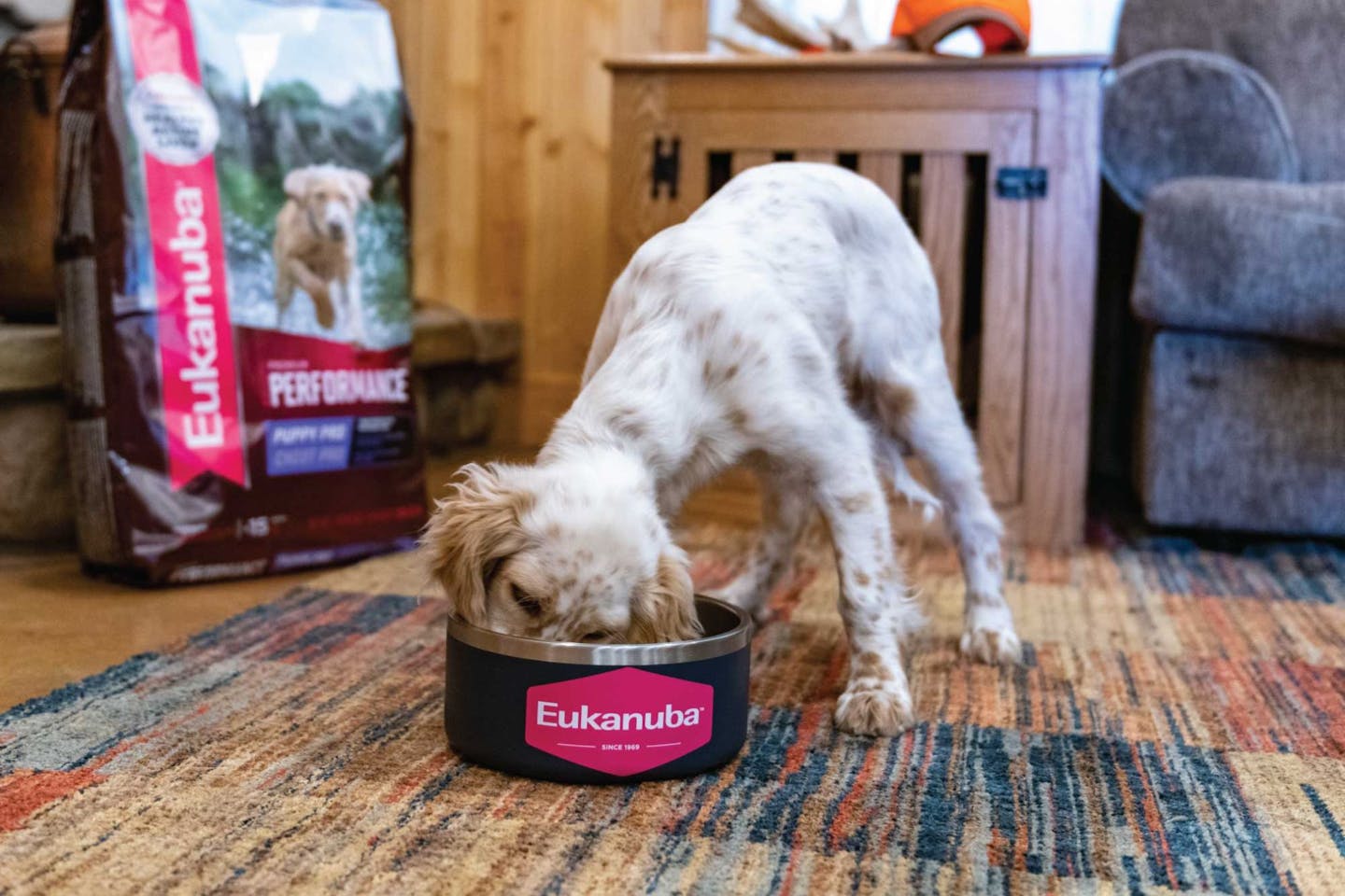 Eukanuba Sporting Dog