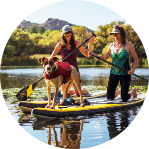 Two women with a dog in the water.